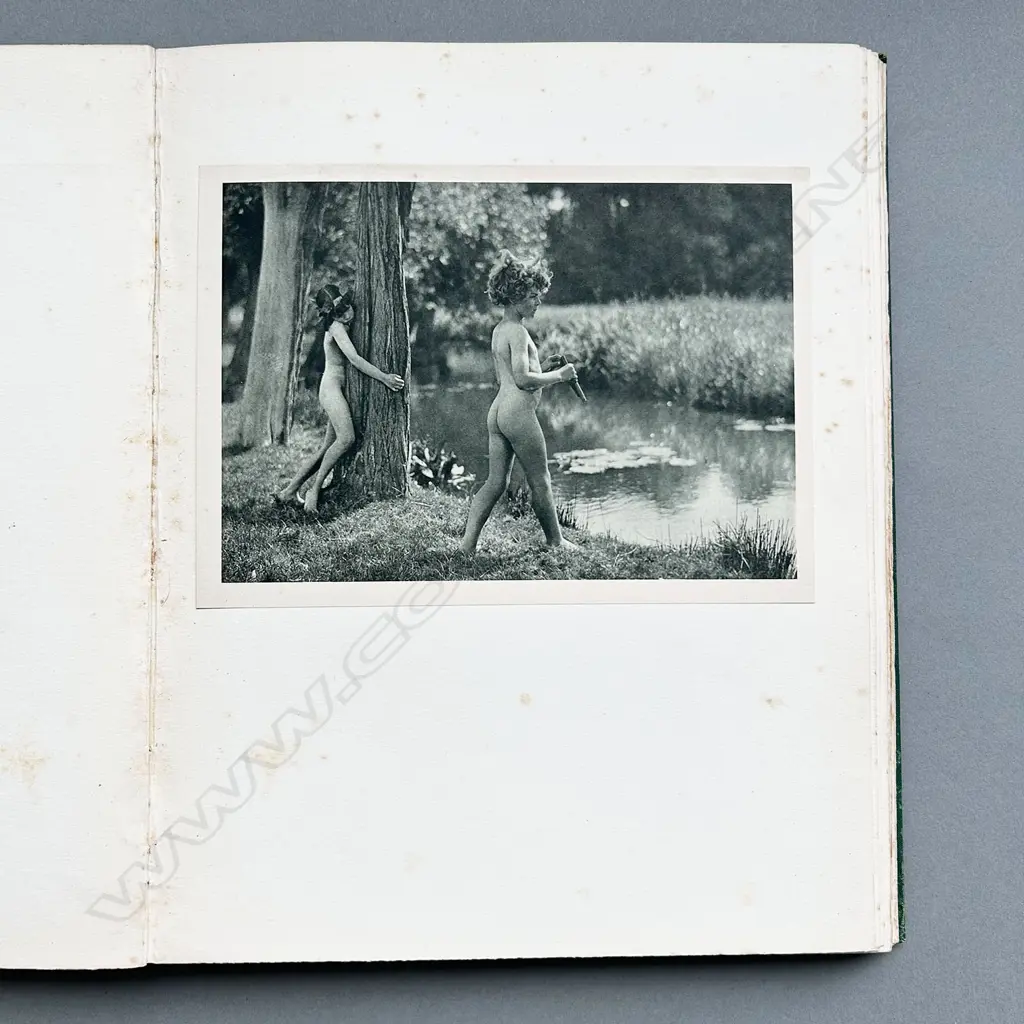 OLIVER HILL: GARDEN OF ADONIS Image 1++